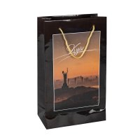 Пакет подарунковий - 280/165. Київ. Коричневий