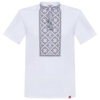 Футболка вишиванка чоловіча Фолк мода (084) S